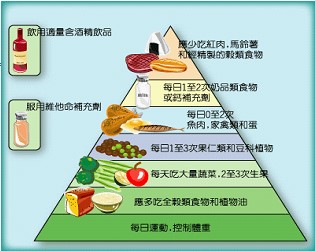 新的民間版本的飲食金字塔