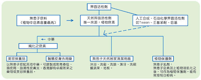 無患子