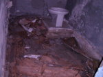白蟻蛀食後，木質地板損壞