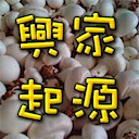 竹塘「興家現代化菇類栽培農場」起源