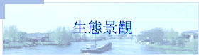 生態景觀