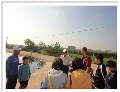 Grandfather Shen’s Goose field