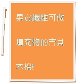 直線圖說文字 3: 果實纖維可做填充物的吉貝木棉!