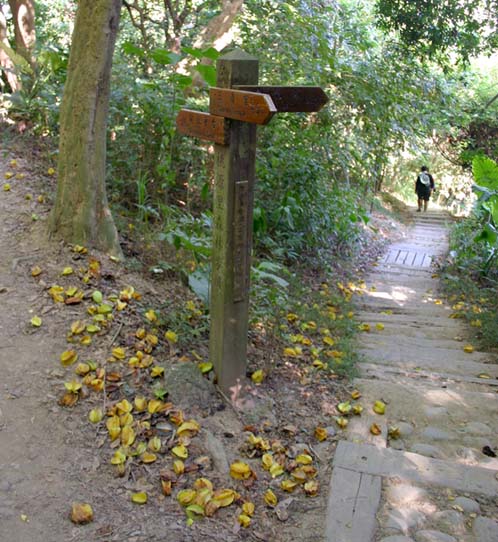 八卦山區多步道供人健走