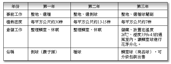 旱地栽培過程