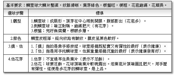 選球品質標準表