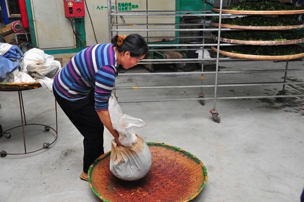 Wrap the tea leaves with cloth