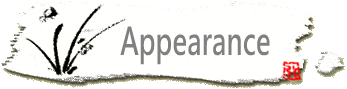 Appearance