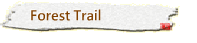 Forest Trail