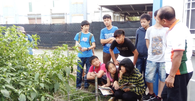 "Farmer explaining the pepper tree."