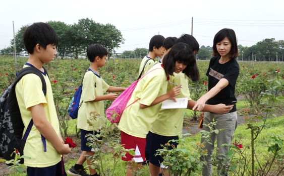 "Visiting the rose farm."