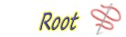 root